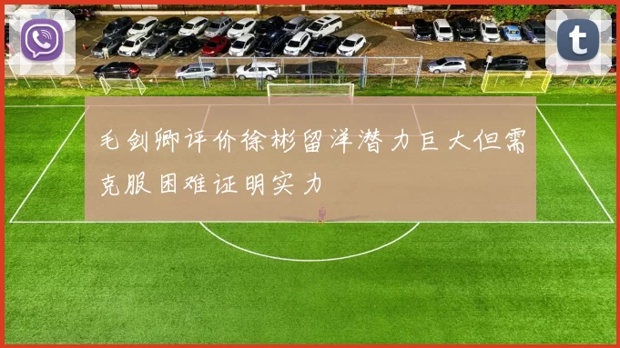 毛剑卿评价徐彬留洋潜力巨大但需克服困难证明实力