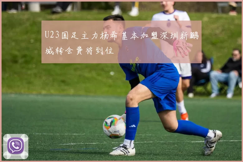 U23国足主力杨希基本加盟深圳新鹏城转会费将到位