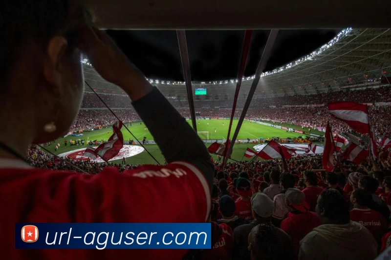 AG娱乐平台生态图